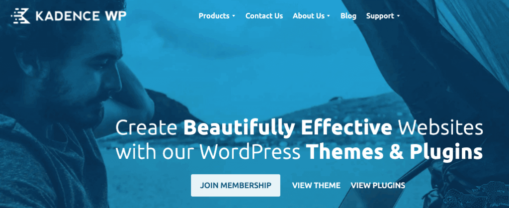 5+ Best WordPress Blogging Themes for Bloggers 1